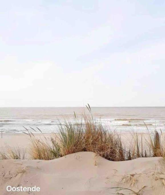 Ostend Chic, Luxe Loftstijl In Oostende Εξωτερικό φωτογραφία